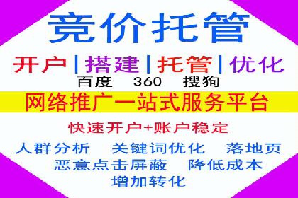 行业领先企业的sem竞价策略：成功案例剖析